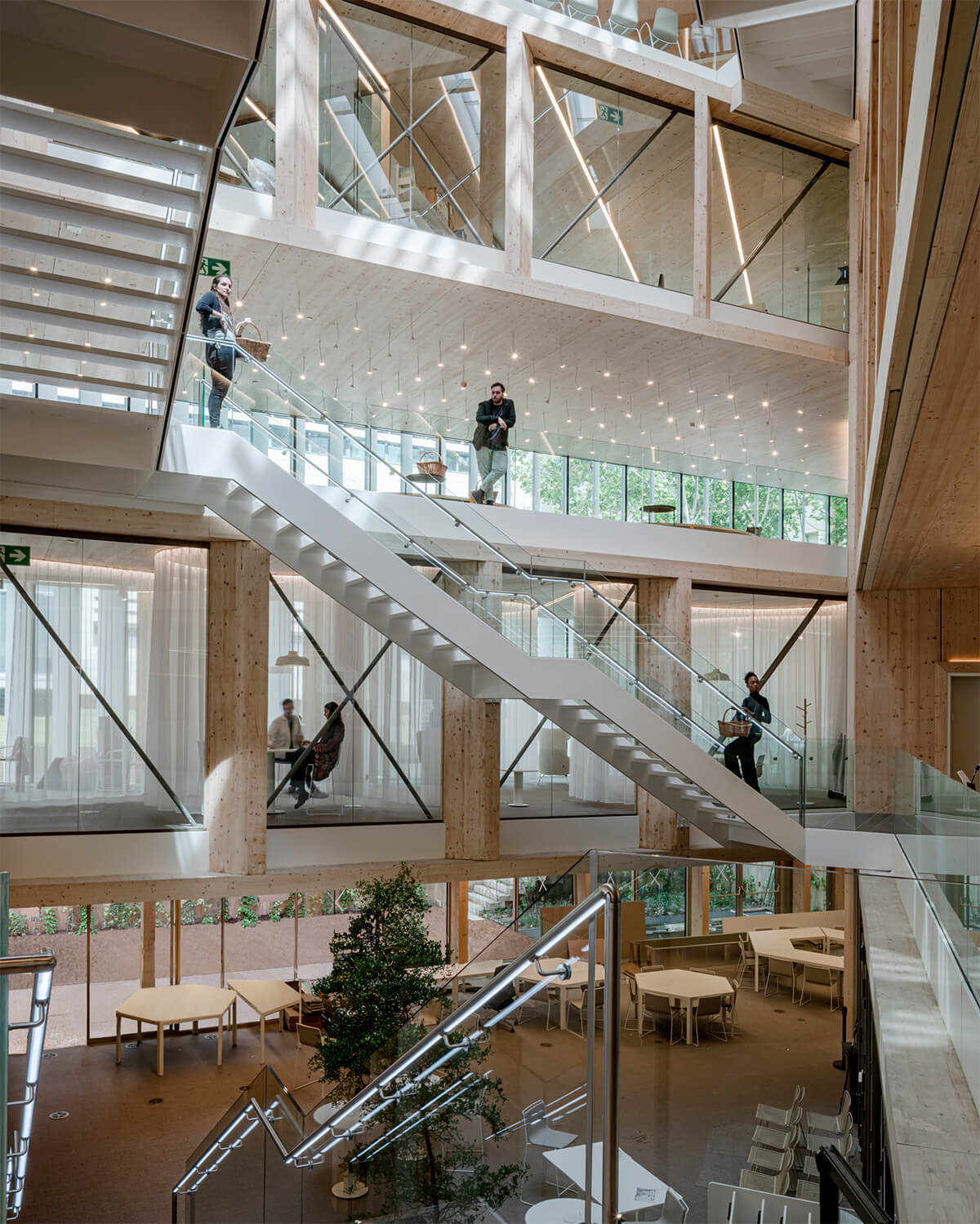 The atrium showcases CLT panels forming the upper and lower chords, with glulam pillars interconnected by diagonal steel suspenders to complete the truss.